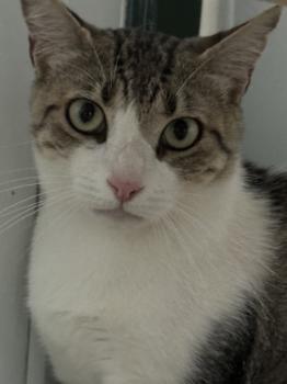 Bubu Bild von Bubu