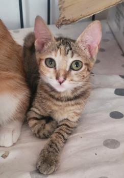 Daisy Bild von Daisy