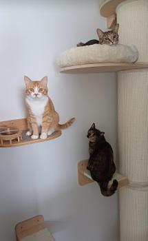 Mery Bild von Mery