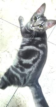 Chloe Bild von Chloe