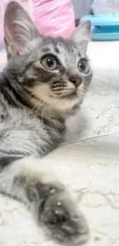 Chloe Bild von Chloe