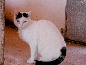 Rony Bild von Rony