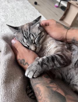 Laia Bild von Laia