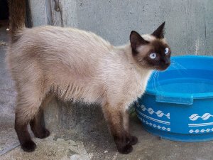 4526 Bild von Romy