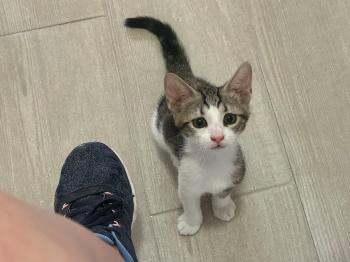 Oliver Bild von Oliver