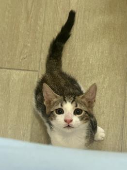 Oliver Bild von Oliver