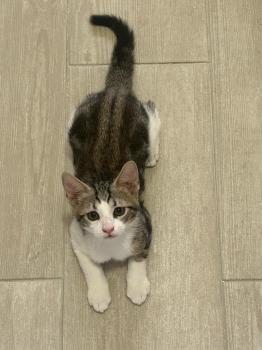 Oliver Bild von Oliver