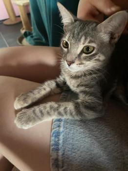 Zoe Bild von Zoe