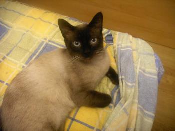 Bild von Muriel