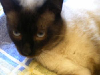 Bild von Muriel