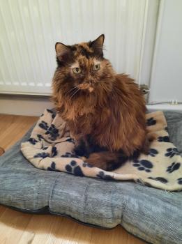 Minnie Bild von Minnie