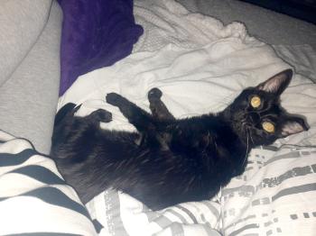 Bild von Bella