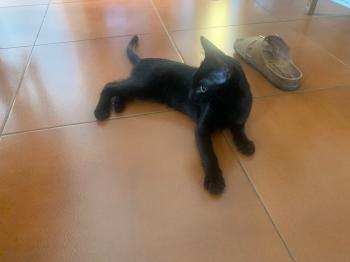 Armani Bild von Armani