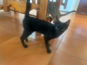 Armani Bild von Armani