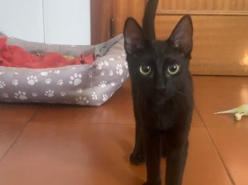 Armani Bild von Armani