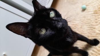 Bild von Bella