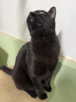 Nahla Bild von Nahla