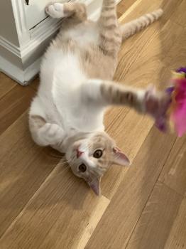Gus Bild von Gus