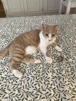 Gus Bild von Gus