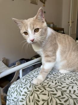 Gus Bild von Gus