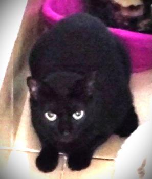 Wanda Bild von Wanda