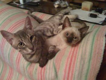 Marlon+Freund Bild von Marlon