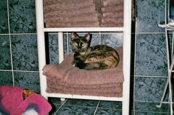 Mali Bild von Mali