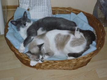Daisy und Sandrito Bild von Daisy