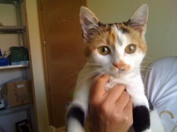 Buffy Bild von Buffy