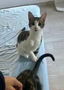 Oliver Bild von Oliver