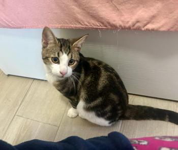 Oliver Bild von Oliver