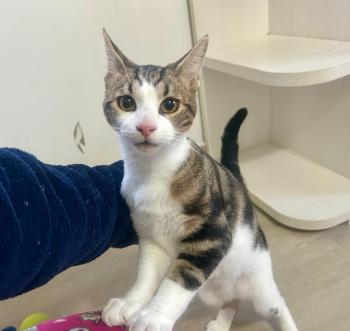 Oliver Bild von Oliver