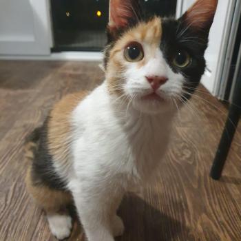 Mila Bild von Mila