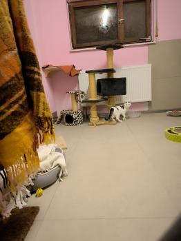 Bild von Anastasia
