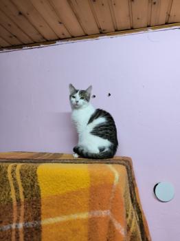 Mascha Bild von Mascha