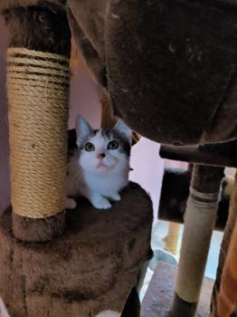 Mascha Bild von Mascha