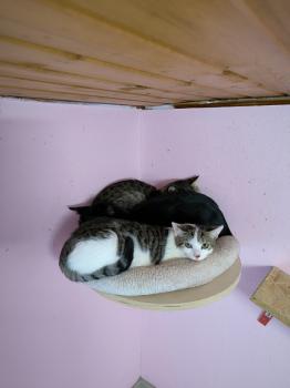 Mascha Bild von Mascha