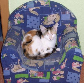 Mary Bild von Mary