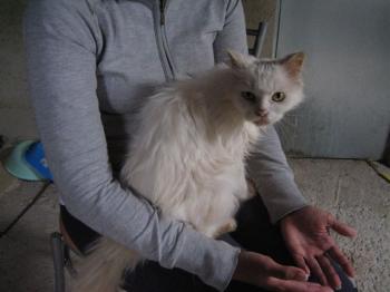 Blanca Bild von Blanca