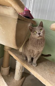 Tess Bild von Tess