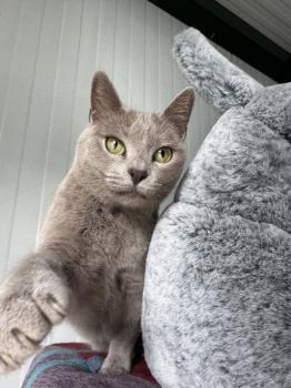 Tess Bild von Tess