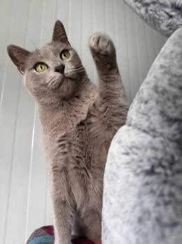 Tess Bild von Tess