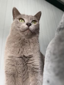 Tess Bild von Tess