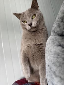 Tess Bild von Tess