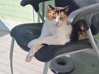 Rosalba Bild von Rosalba