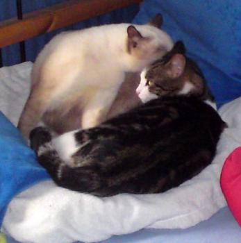 Norry Bild von Norry