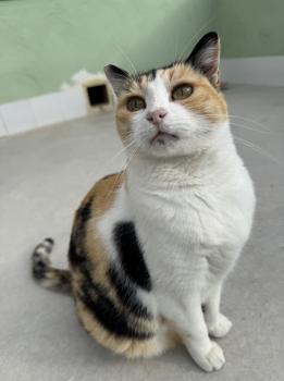 Rosalba Bild von Rosalba