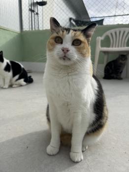 Rosalba Bild von Rosalba