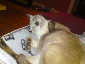 Norry Bild von Norry