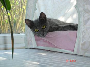 Bild von Ronjo